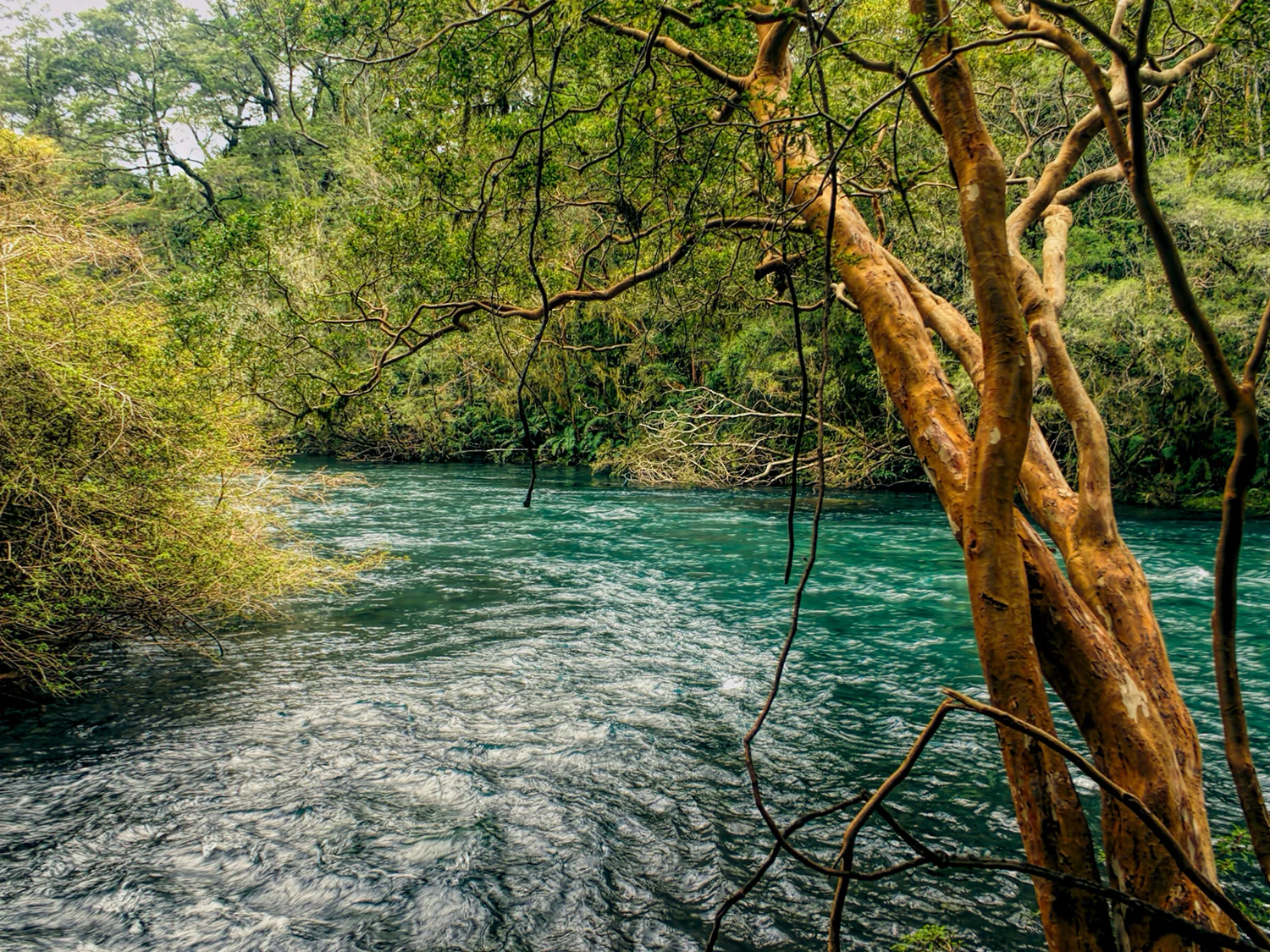 Río Petrohué